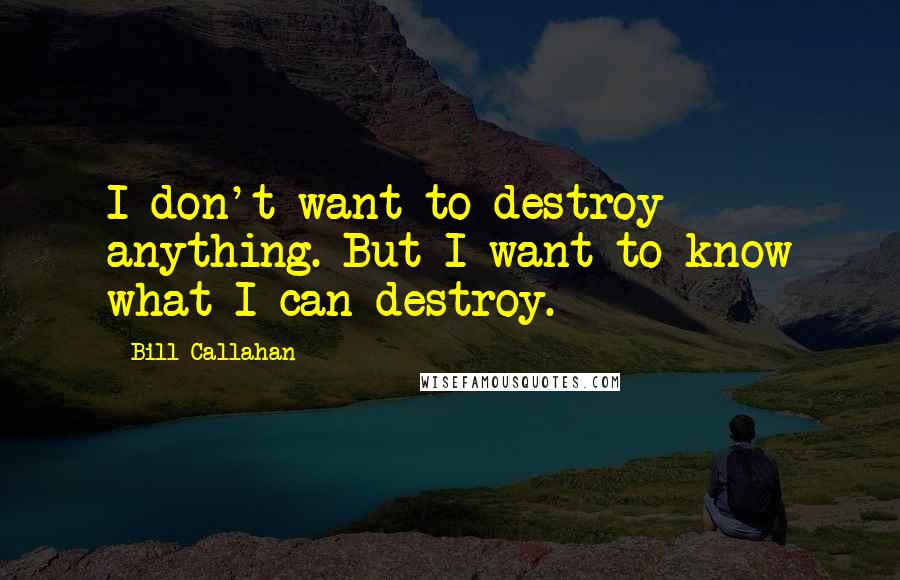 Bill Callahan Quotes: I don't want to destroy anything. But I want to know what I can destroy.