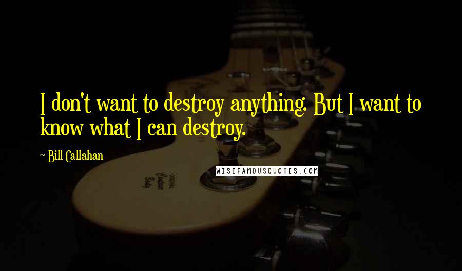 Bill Callahan Quotes: I don't want to destroy anything. But I want to know what I can destroy.