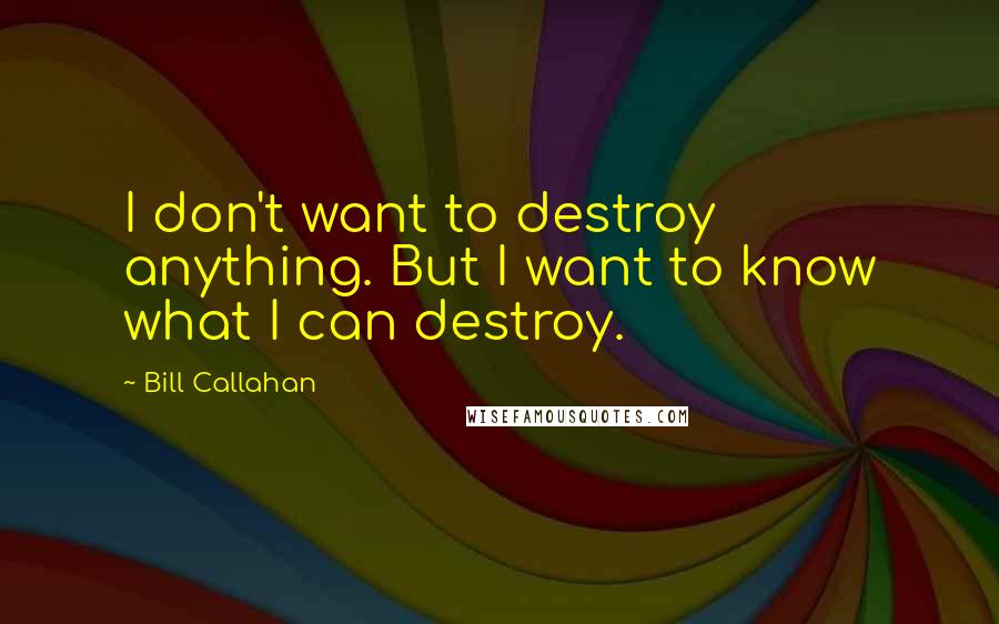 Bill Callahan Quotes: I don't want to destroy anything. But I want to know what I can destroy.