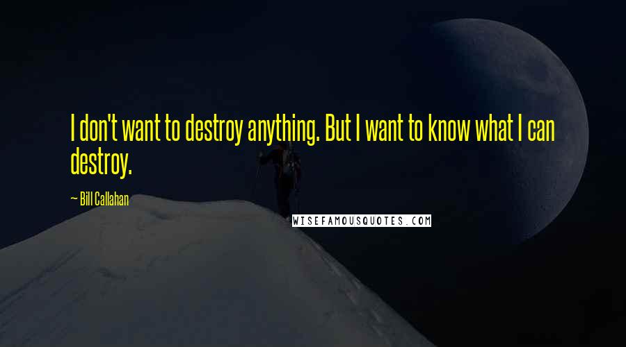 Bill Callahan Quotes: I don't want to destroy anything. But I want to know what I can destroy.