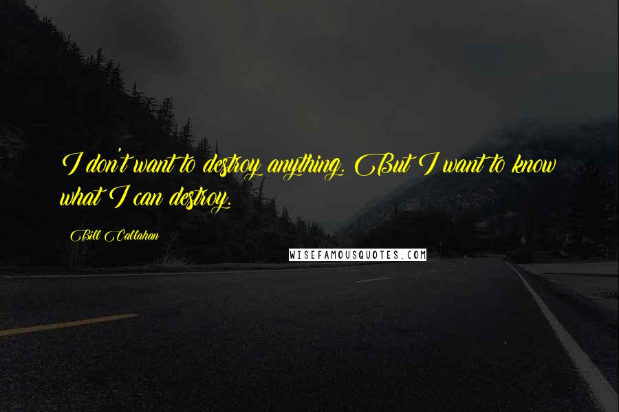 Bill Callahan Quotes: I don't want to destroy anything. But I want to know what I can destroy.