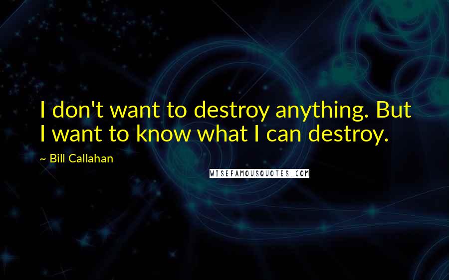 Bill Callahan Quotes: I don't want to destroy anything. But I want to know what I can destroy.