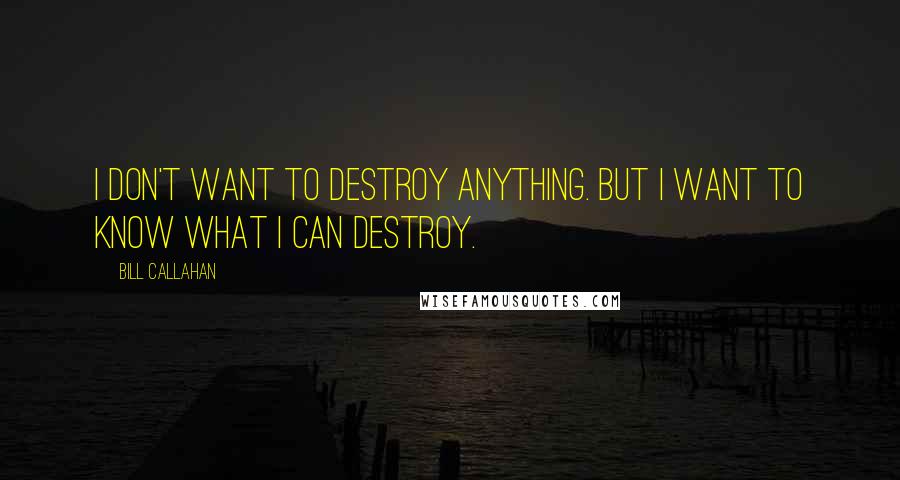 Bill Callahan Quotes: I don't want to destroy anything. But I want to know what I can destroy.