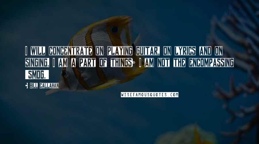 Bill Callahan Quotes: I will concentrate on playing guitar, on lyrics and on singing. I am a part of things; I am not the encompassing 'Smog.'