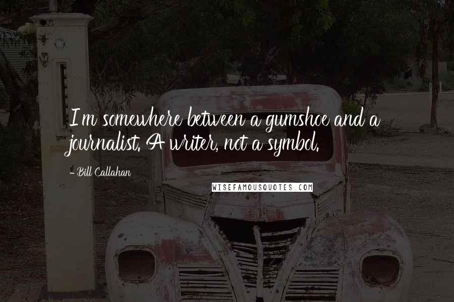 Bill Callahan Quotes: I'm somewhere between a gumshoe and a journalist. A writer, not a symbol.
