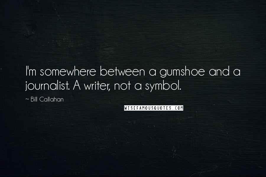 Bill Callahan Quotes: I'm somewhere between a gumshoe and a journalist. A writer, not a symbol.