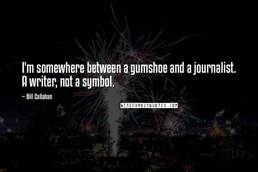 Bill Callahan Quotes: I'm somewhere between a gumshoe and a journalist. A writer, not a symbol.