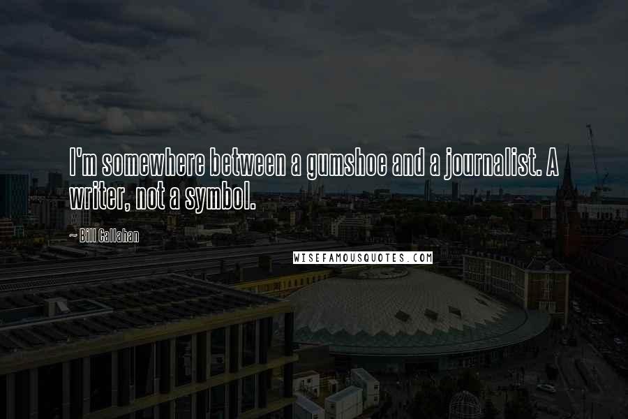Bill Callahan Quotes: I'm somewhere between a gumshoe and a journalist. A writer, not a symbol.