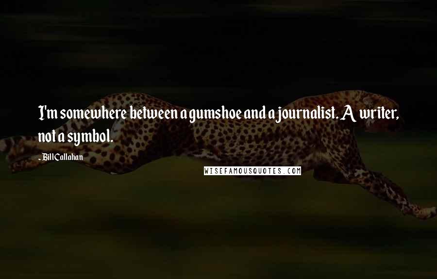 Bill Callahan Quotes: I'm somewhere between a gumshoe and a journalist. A writer, not a symbol.