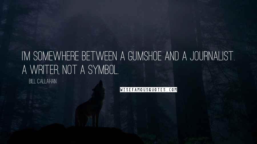 Bill Callahan Quotes: I'm somewhere between a gumshoe and a journalist. A writer, not a symbol.