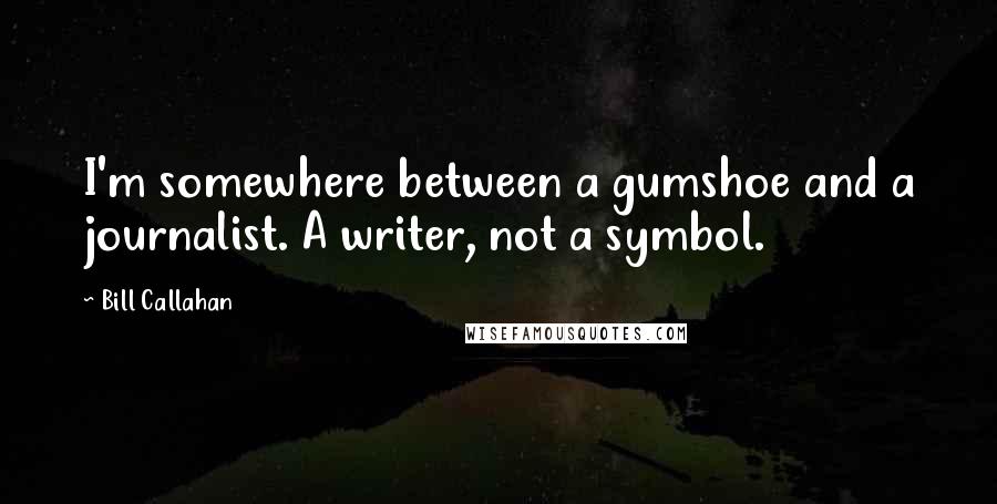Bill Callahan Quotes: I'm somewhere between a gumshoe and a journalist. A writer, not a symbol.
