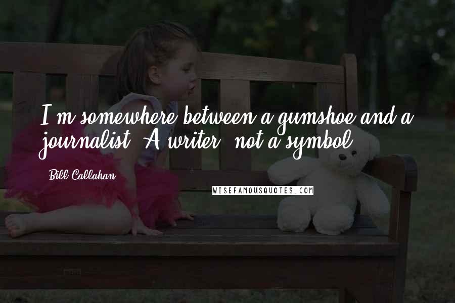Bill Callahan Quotes: I'm somewhere between a gumshoe and a journalist. A writer, not a symbol.