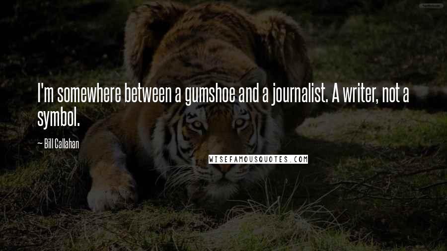 Bill Callahan Quotes: I'm somewhere between a gumshoe and a journalist. A writer, not a symbol.