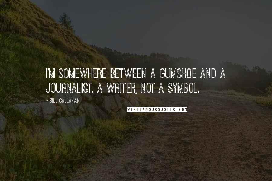 Bill Callahan Quotes: I'm somewhere between a gumshoe and a journalist. A writer, not a symbol.
