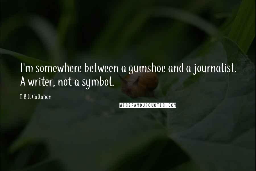 Bill Callahan Quotes: I'm somewhere between a gumshoe and a journalist. A writer, not a symbol.
