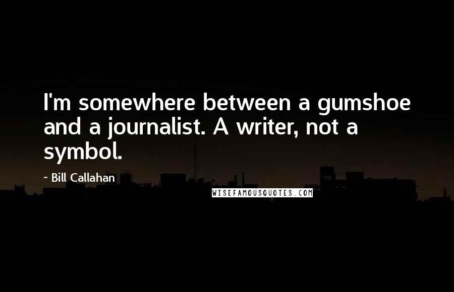 Bill Callahan Quotes: I'm somewhere between a gumshoe and a journalist. A writer, not a symbol.