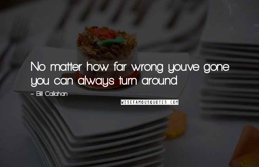 Bill Callahan Quotes: No matter how far wrong you've gone you can always turn around