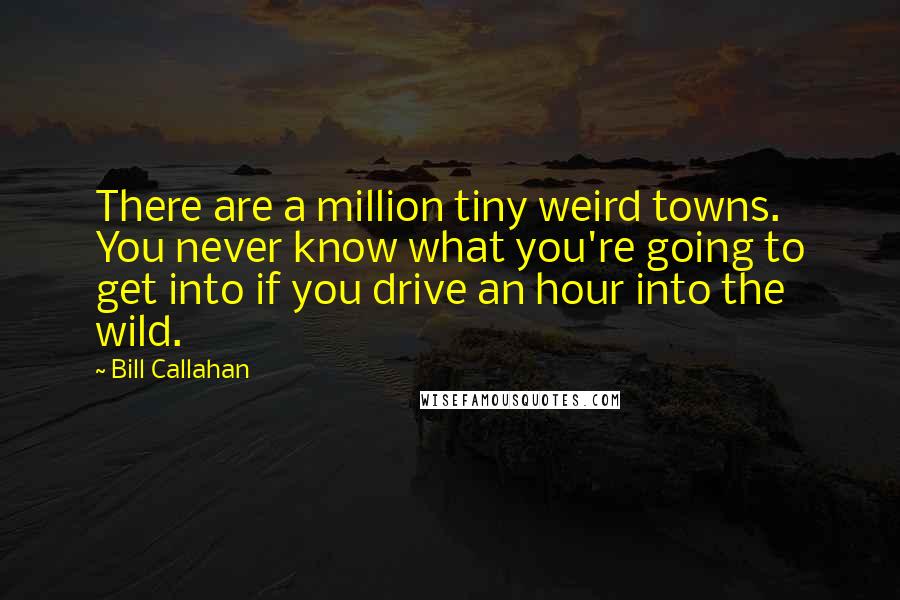 Bill Callahan Quotes: There are a million tiny weird towns. You never know what you're going to get into if you drive an hour into the wild.