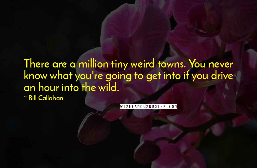 Bill Callahan Quotes: There are a million tiny weird towns. You never know what you're going to get into if you drive an hour into the wild.