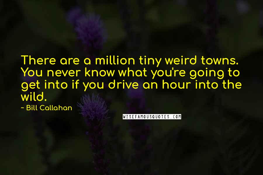 Bill Callahan Quotes: There are a million tiny weird towns. You never know what you're going to get into if you drive an hour into the wild.