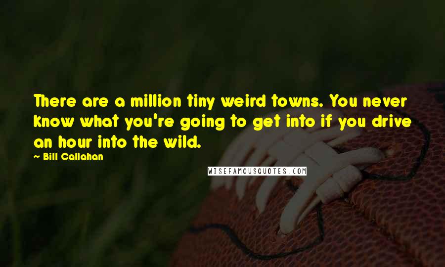 Bill Callahan Quotes: There are a million tiny weird towns. You never know what you're going to get into if you drive an hour into the wild.