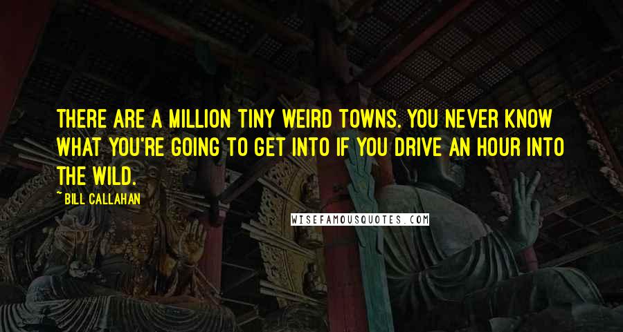 Bill Callahan Quotes: There are a million tiny weird towns. You never know what you're going to get into if you drive an hour into the wild.