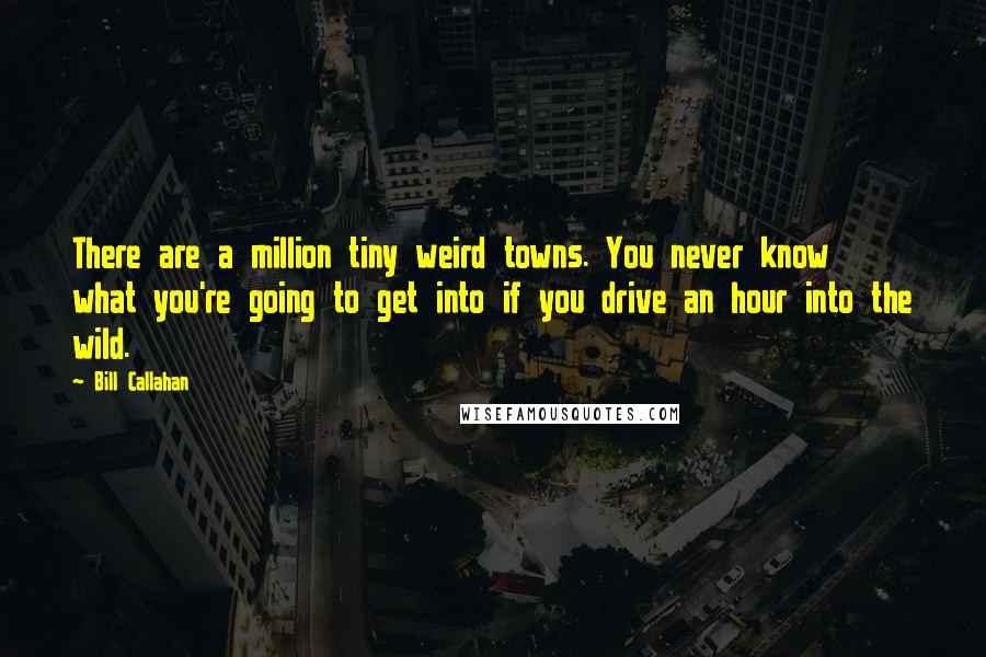 Bill Callahan Quotes: There are a million tiny weird towns. You never know what you're going to get into if you drive an hour into the wild.