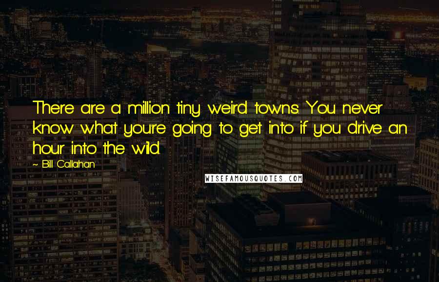 Bill Callahan Quotes: There are a million tiny weird towns. You never know what you're going to get into if you drive an hour into the wild.