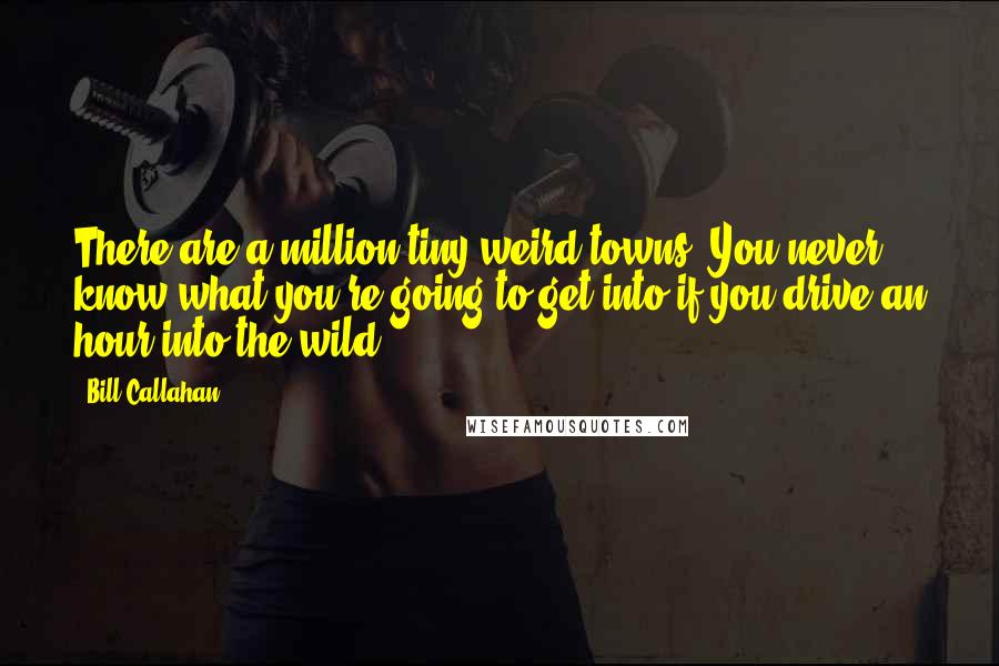 Bill Callahan Quotes: There are a million tiny weird towns. You never know what you're going to get into if you drive an hour into the wild.