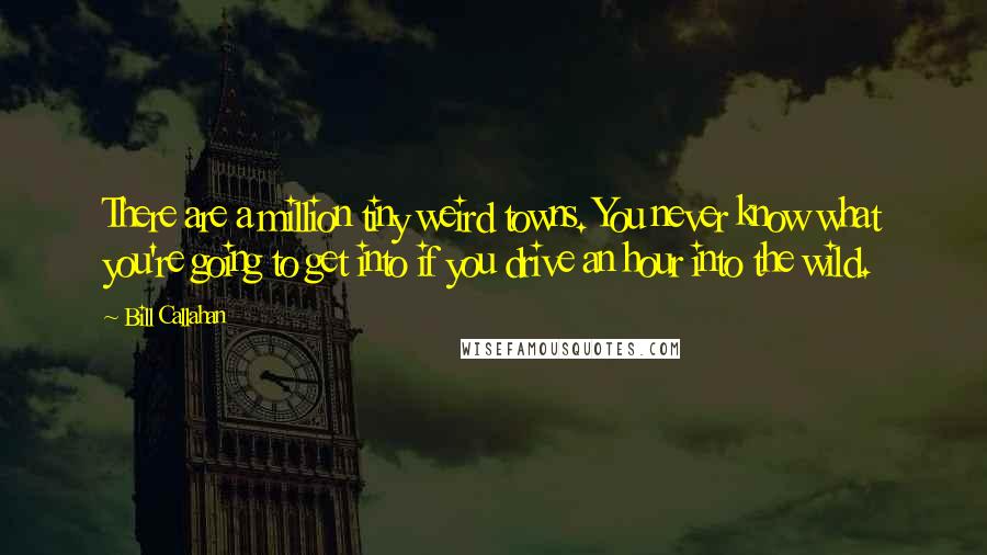 Bill Callahan Quotes: There are a million tiny weird towns. You never know what you're going to get into if you drive an hour into the wild.