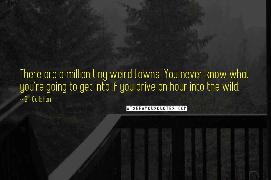 Bill Callahan Quotes: There are a million tiny weird towns. You never know what you're going to get into if you drive an hour into the wild.