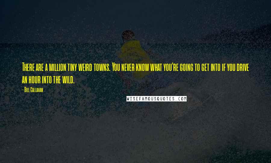 Bill Callahan Quotes: There are a million tiny weird towns. You never know what you're going to get into if you drive an hour into the wild.