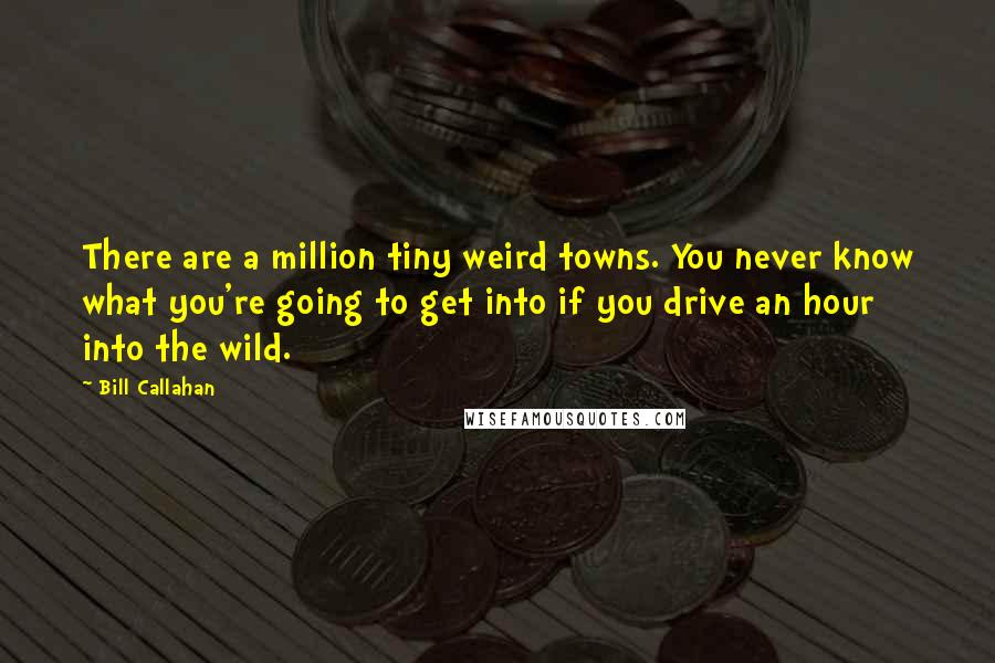 Bill Callahan Quotes: There are a million tiny weird towns. You never know what you're going to get into if you drive an hour into the wild.