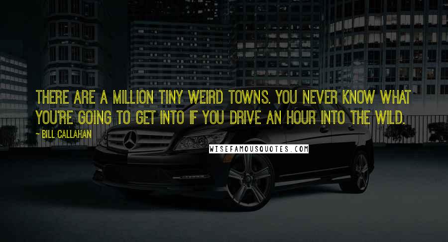 Bill Callahan Quotes: There are a million tiny weird towns. You never know what you're going to get into if you drive an hour into the wild.