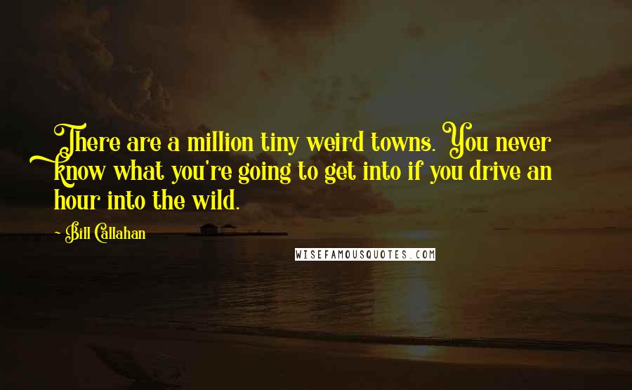 Bill Callahan Quotes: There are a million tiny weird towns. You never know what you're going to get into if you drive an hour into the wild.