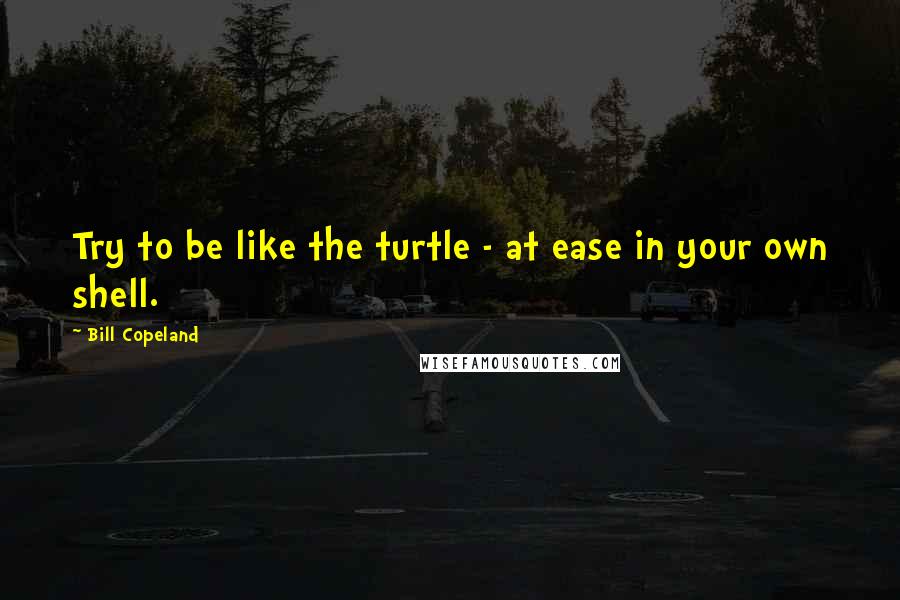 Bill Copeland Quotes: Try to be like the turtle - at ease in your own shell.