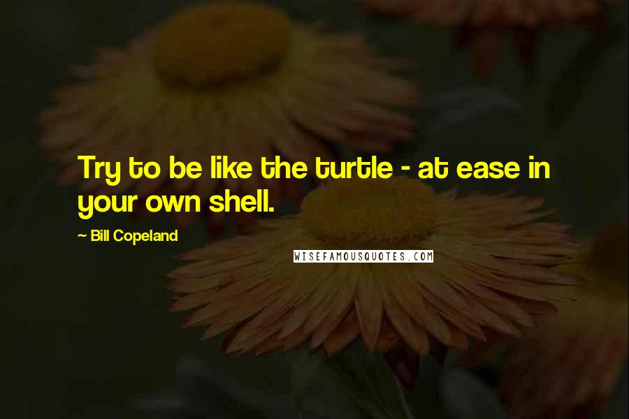 Bill Copeland Quotes: Try to be like the turtle - at ease in your own shell.