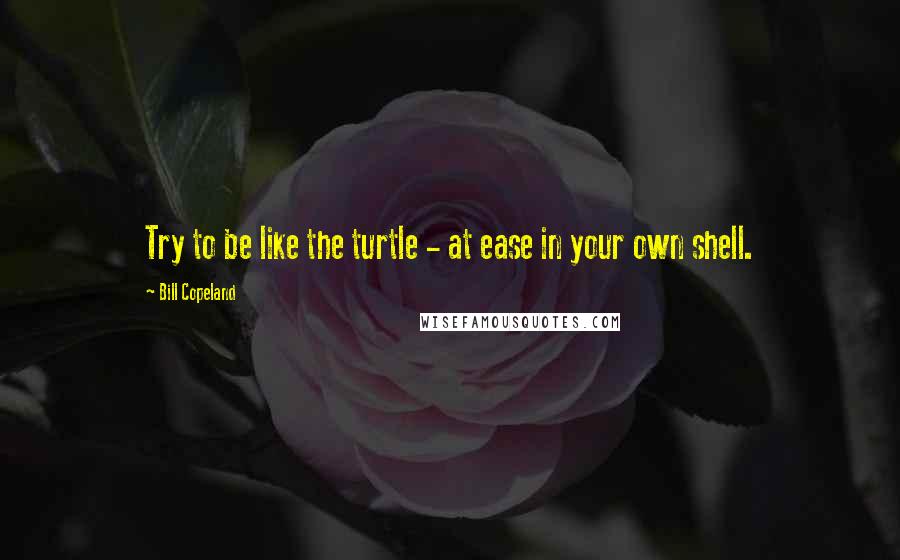 Bill Copeland Quotes: Try to be like the turtle - at ease in your own shell.