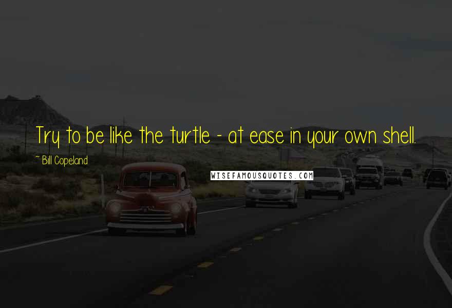 Bill Copeland Quotes: Try to be like the turtle - at ease in your own shell.