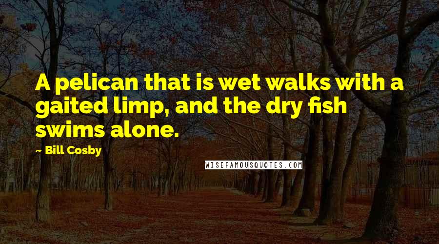 Bill Cosby Quotes: A pelican that is wet walks with a gaited limp, and the dry fish swims alone.