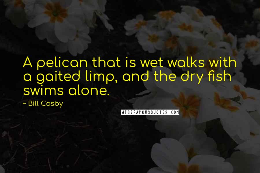 Bill Cosby Quotes: A pelican that is wet walks with a gaited limp, and the dry fish swims alone.