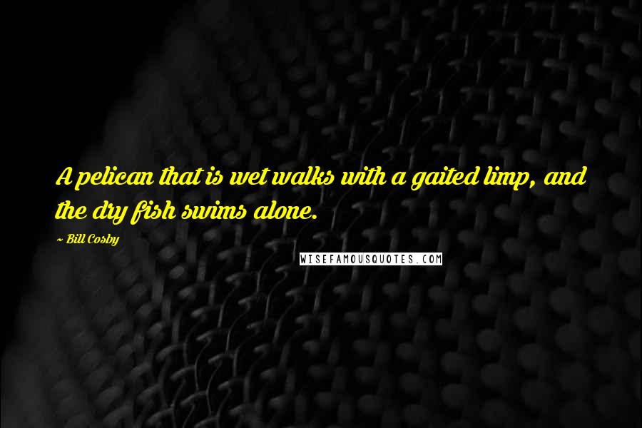 Bill Cosby Quotes: A pelican that is wet walks with a gaited limp, and the dry fish swims alone.