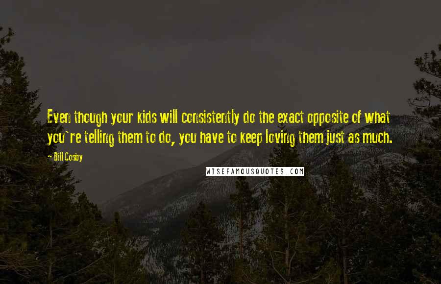 Bill Cosby Quotes: Even though your kids will consistently do the exact opposite of what you're telling them to do, you have to keep loving them just as much.