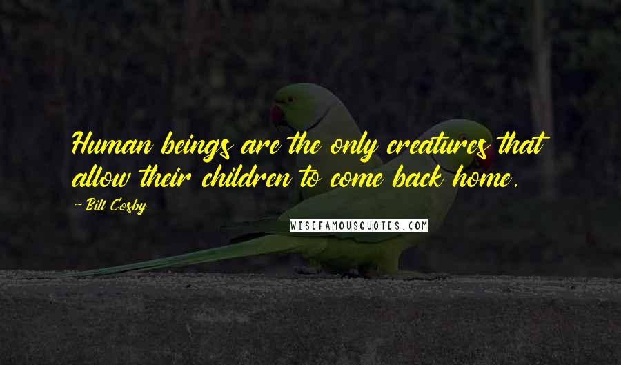 Bill Cosby Quotes: Human beings are the only creatures that allow their children to come back home.