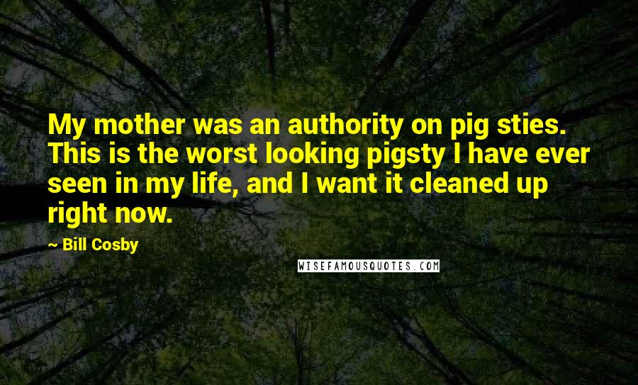 Bill Cosby Quotes: My mother was an authority on pig sties. This is the worst looking pigsty I have ever seen in my life, and I want it cleaned up right now.