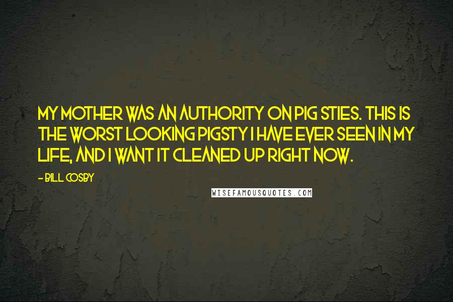 Bill Cosby Quotes: My mother was an authority on pig sties. This is the worst looking pigsty I have ever seen in my life, and I want it cleaned up right now.