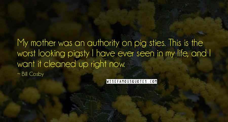 Bill Cosby Quotes: My mother was an authority on pig sties. This is the worst looking pigsty I have ever seen in my life, and I want it cleaned up right now.