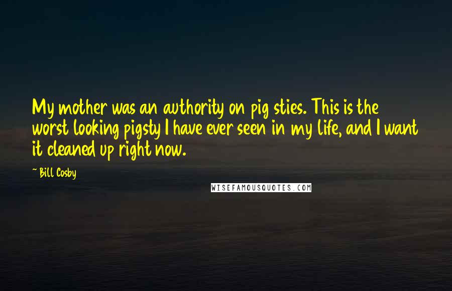 Bill Cosby Quotes: My mother was an authority on pig sties. This is the worst looking pigsty I have ever seen in my life, and I want it cleaned up right now.