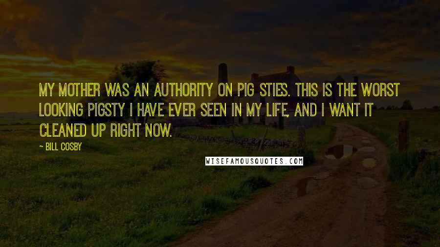 Bill Cosby Quotes: My mother was an authority on pig sties. This is the worst looking pigsty I have ever seen in my life, and I want it cleaned up right now.