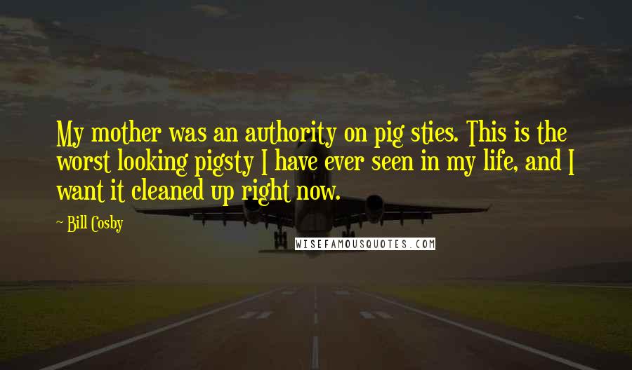 Bill Cosby Quotes: My mother was an authority on pig sties. This is the worst looking pigsty I have ever seen in my life, and I want it cleaned up right now.